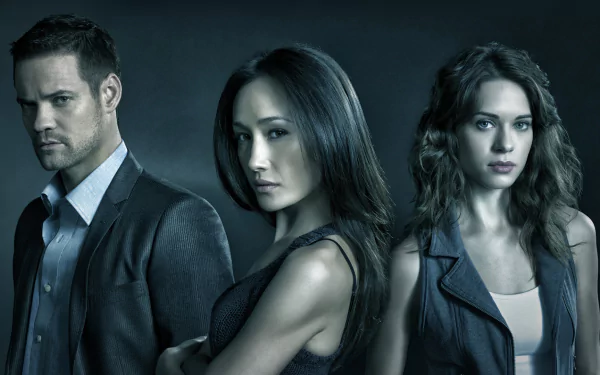 A high-definition wallpaper featuring Maggie Q and co-stars from the TV show Nikita, showcasing a dramatic and intense pose against a dark background.
