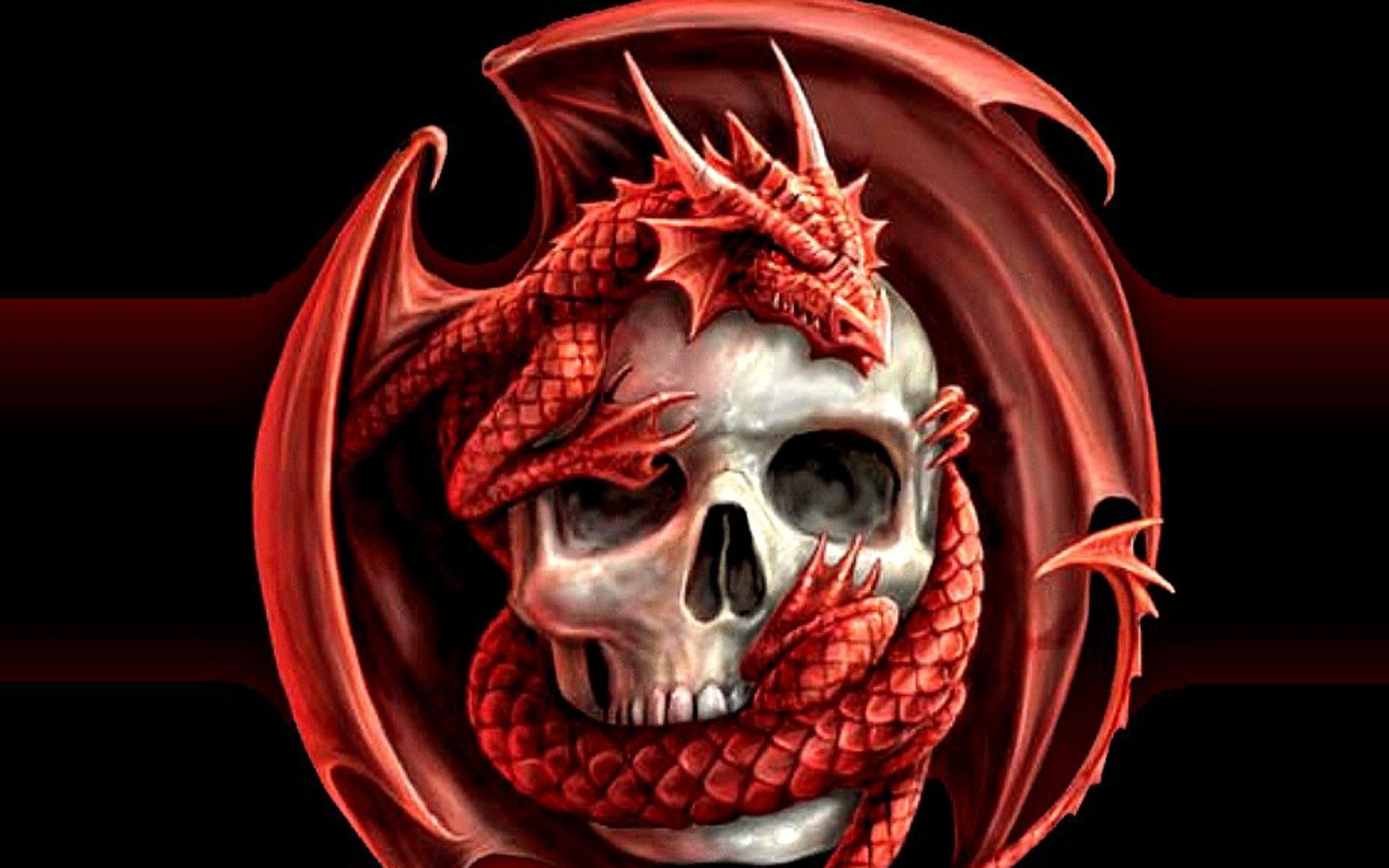 dragon face wallpaper