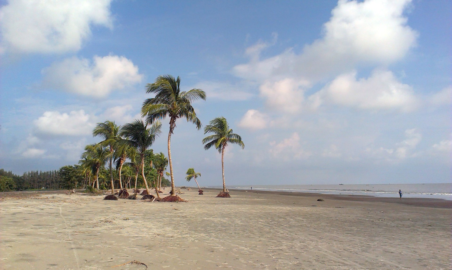 Download Nature Beach HD Wallpaper