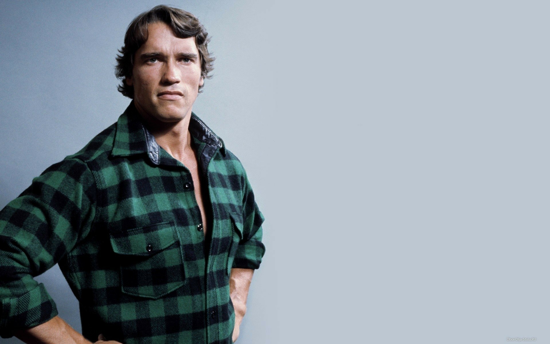 HD desktop wallpaper featuring celebrity Arnold Schwarzenegger in a green plaid shirt against a minimalist gray background.