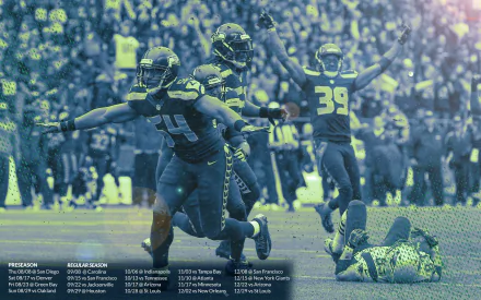 brandon browner bobby wagner Seattle Seahawks Sports HD Desktop Wallpaper | Background Image