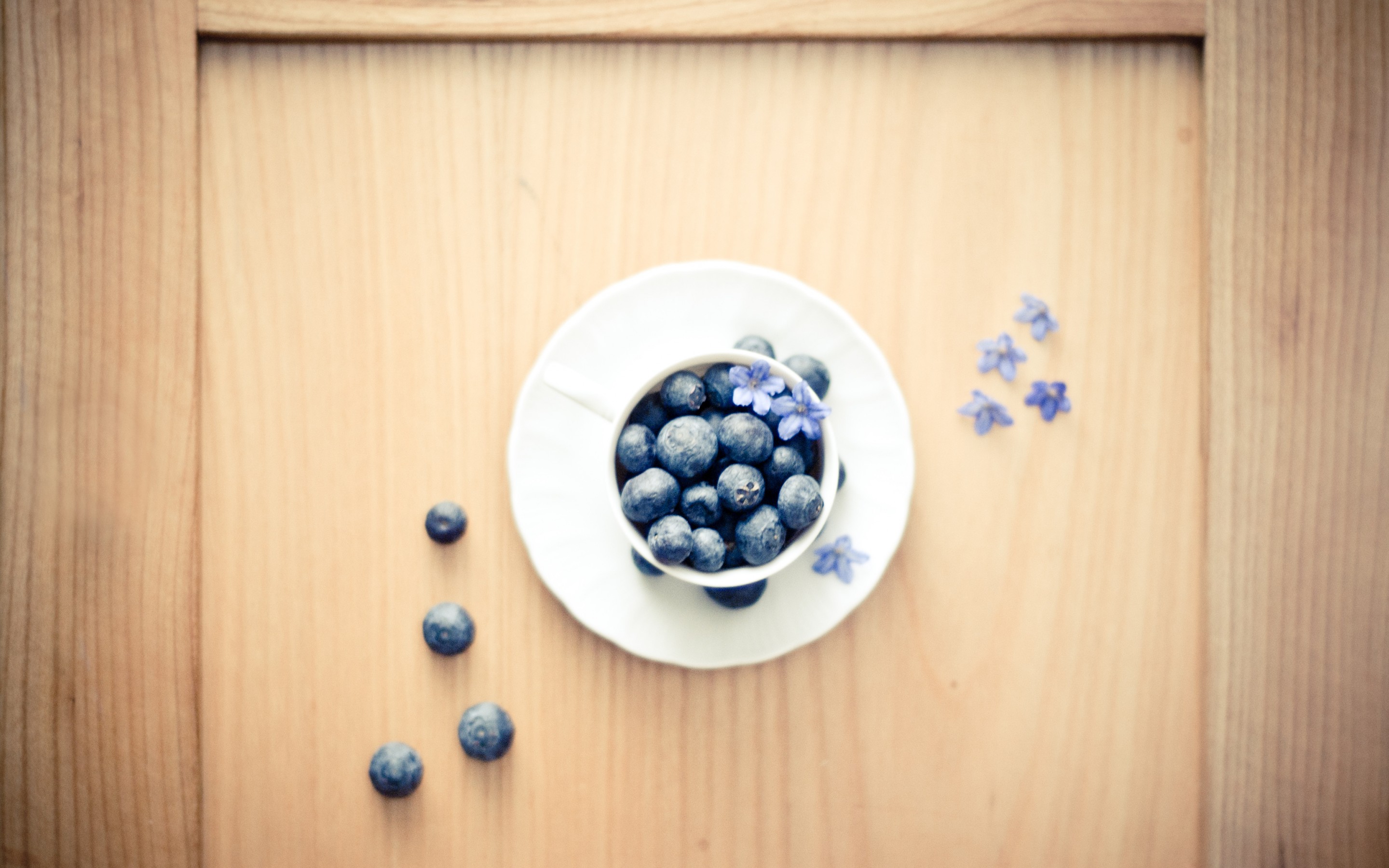 Food Blueberry HD Wallpaper | Background Image