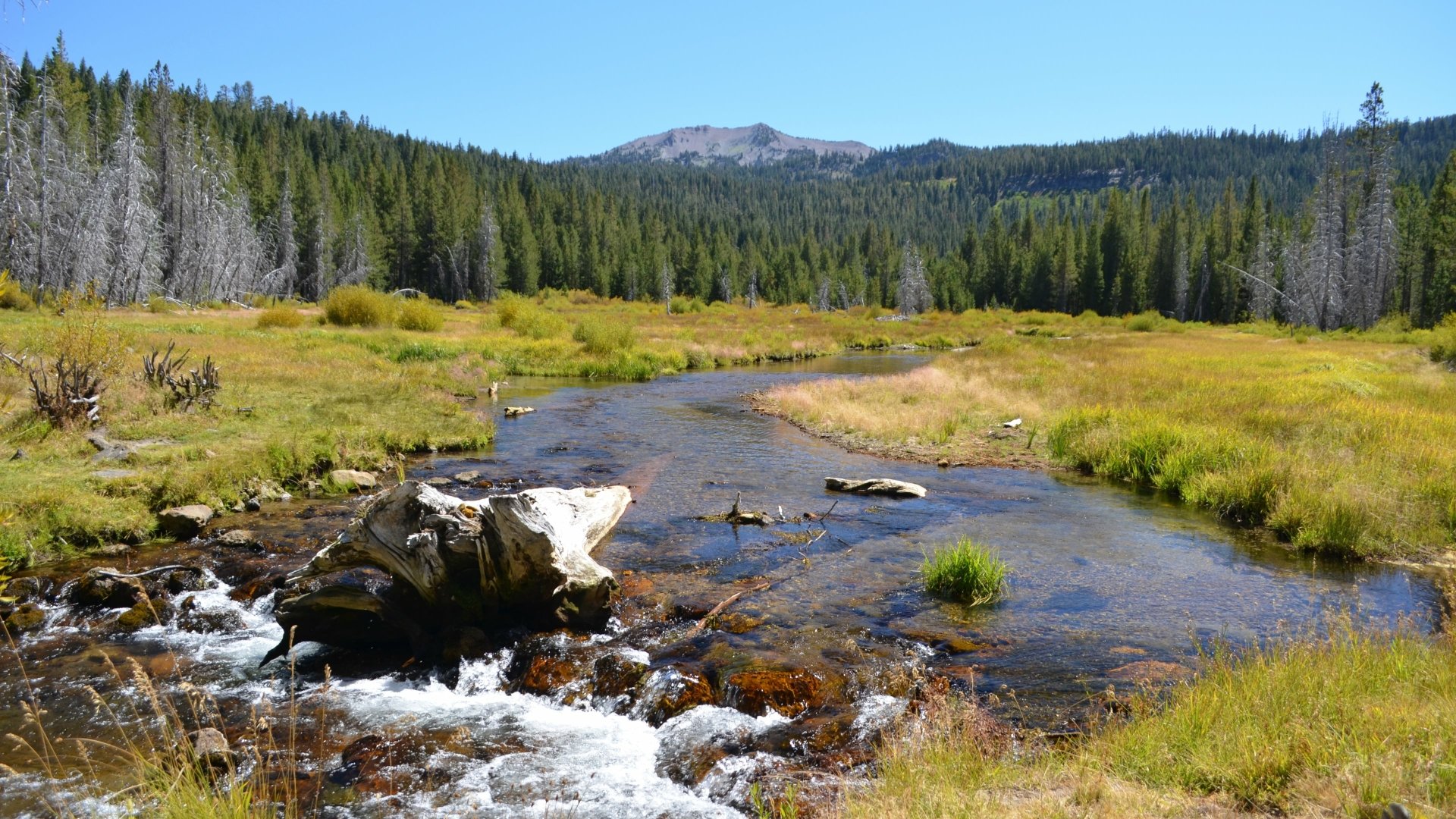4K Ultra HD desktop wallpaper showcasing a serene river flowing through a lush meadow surrounded by dense pine forests and distant mountains under a clear sky.