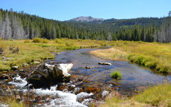 4K Ultra HD desktop wallpaper showcasing a serene river flowing through a lush meadow surrounded by dense pine forests and distant mountains under a clear sky.