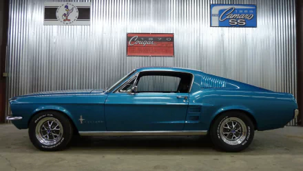 muscle car fastback Ford Mustang vehicle Ford Mustang Fastback HD Desktop Wallpaper | Background Image