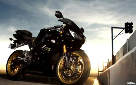 vehicle triumph daytona HD Desktop Wallpaper | Background Image