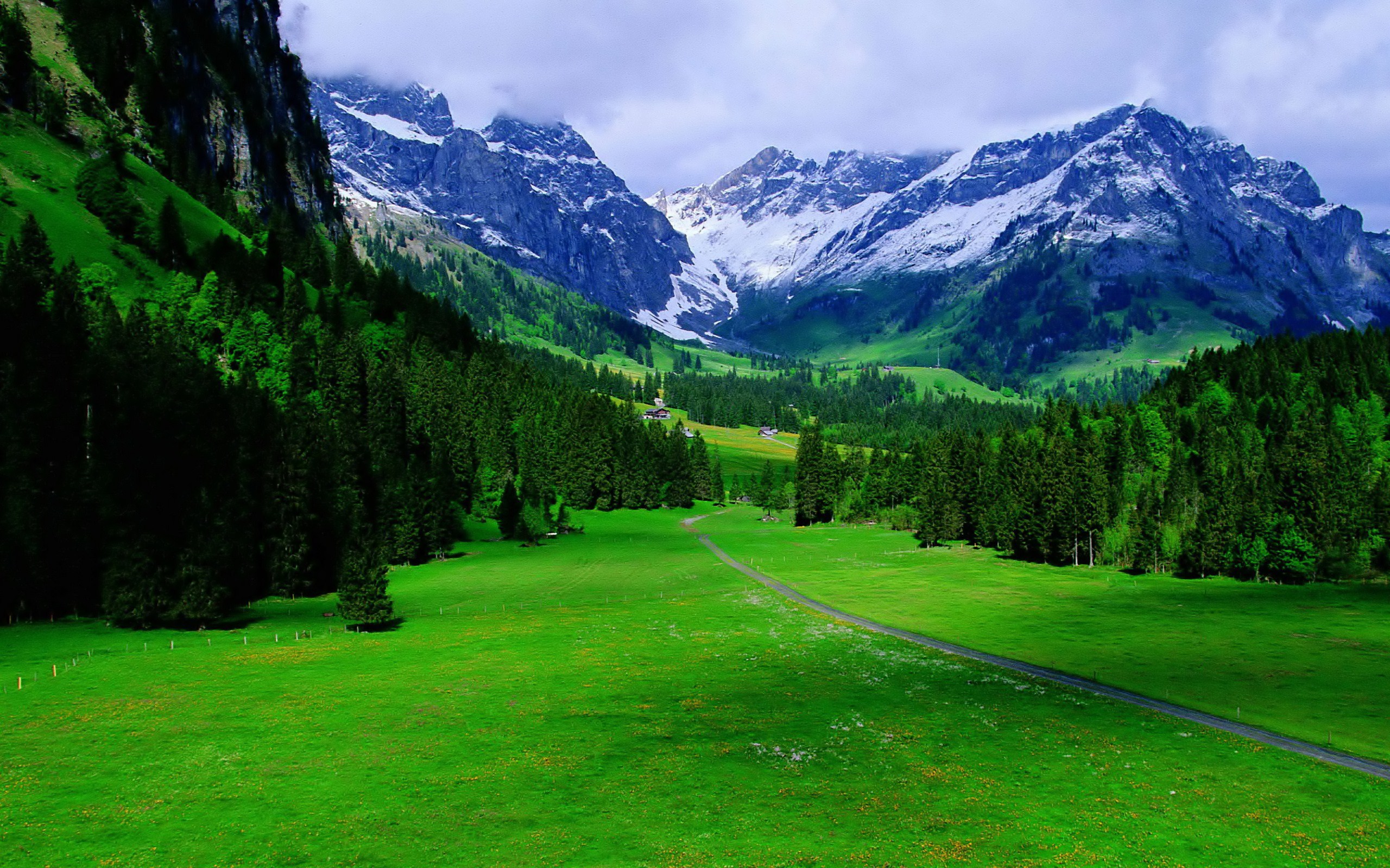 Nature Alps Mountain HD Wallpaper | Background Image