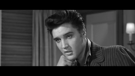 movie jailhouse rock HD Desktop Wallpaper | Background Image