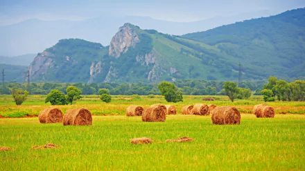 A serene field with round haystacks, surrounded by lush greenery and rolling hills, captured in stunning 4K Ultra HD quality, showcasing the beauty of nature.