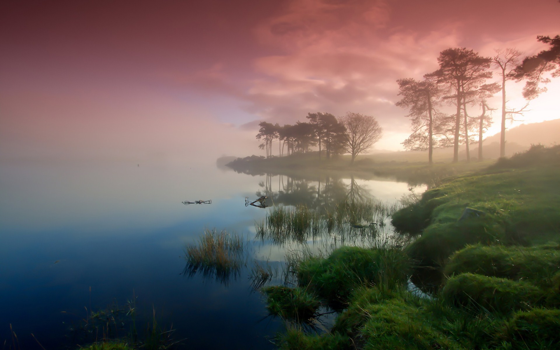 Scotland Full Hd Wallpaper And Background Image 1920x1200 Id468726