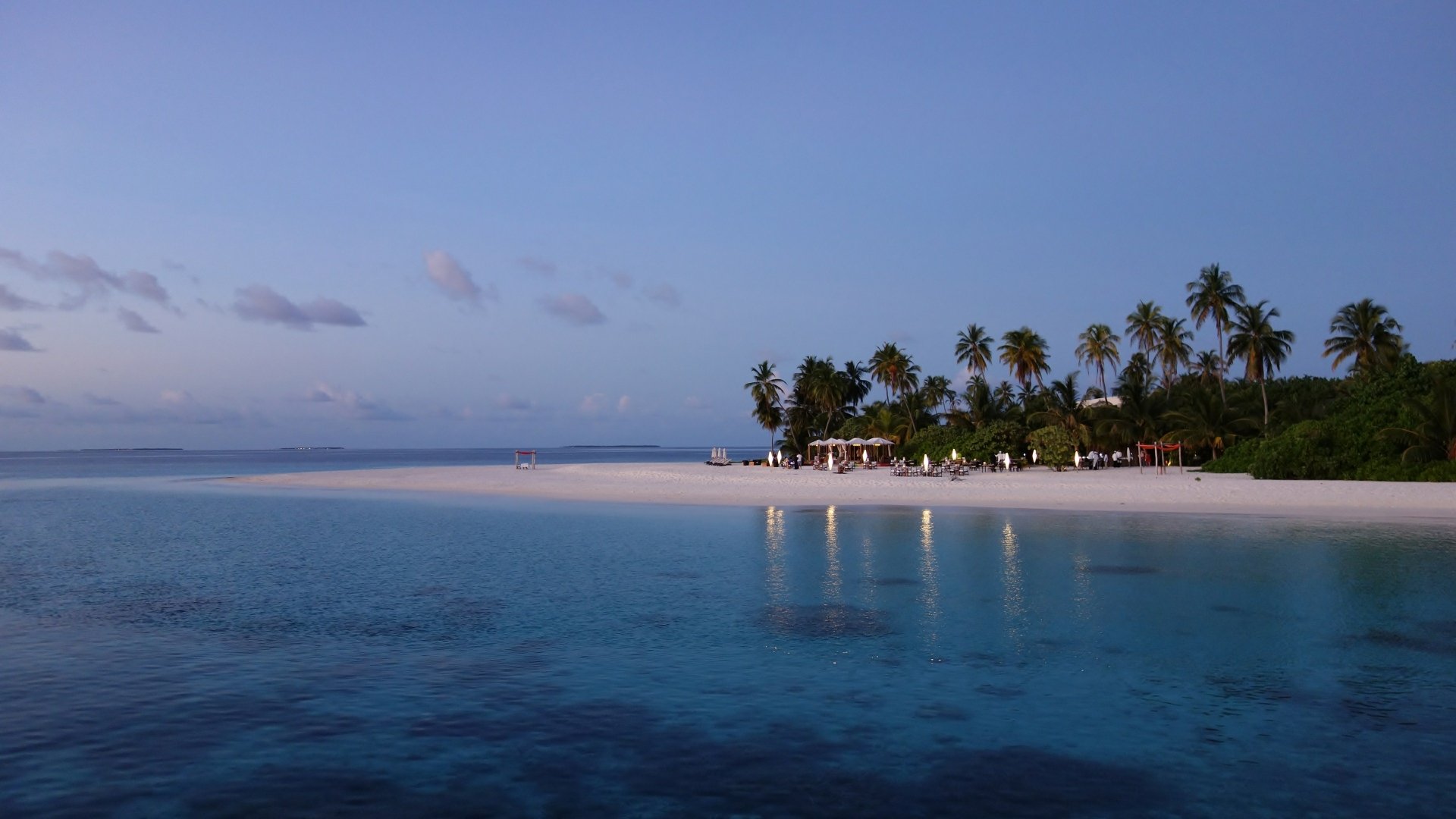 A serene tropical beach at dusk, featuring palm trees and calm ocean waters, captured in stunning 4K Ultra HD. A tranquil holiday escape awaits in this picturesque setting.