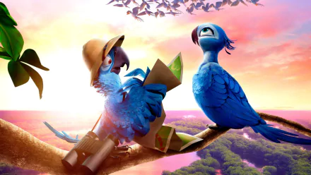 4K Ultra HD PC desktop wallpaper featuring animated characters from the movie Rio 2, depicting two colorful birds perched with a vibrant sunset and lush landscape background.