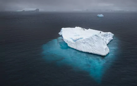 HD desktop wallpaper featuring a large iceberg floating in dark, calm waters under a gray, overcast sky, showcasing the serene beauty of nature.