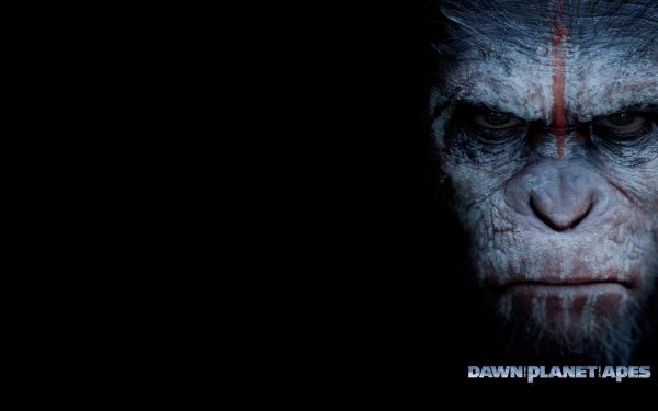 movie Dawn of the Planet of the Apes HD Desktop Wallpaper | Background Image