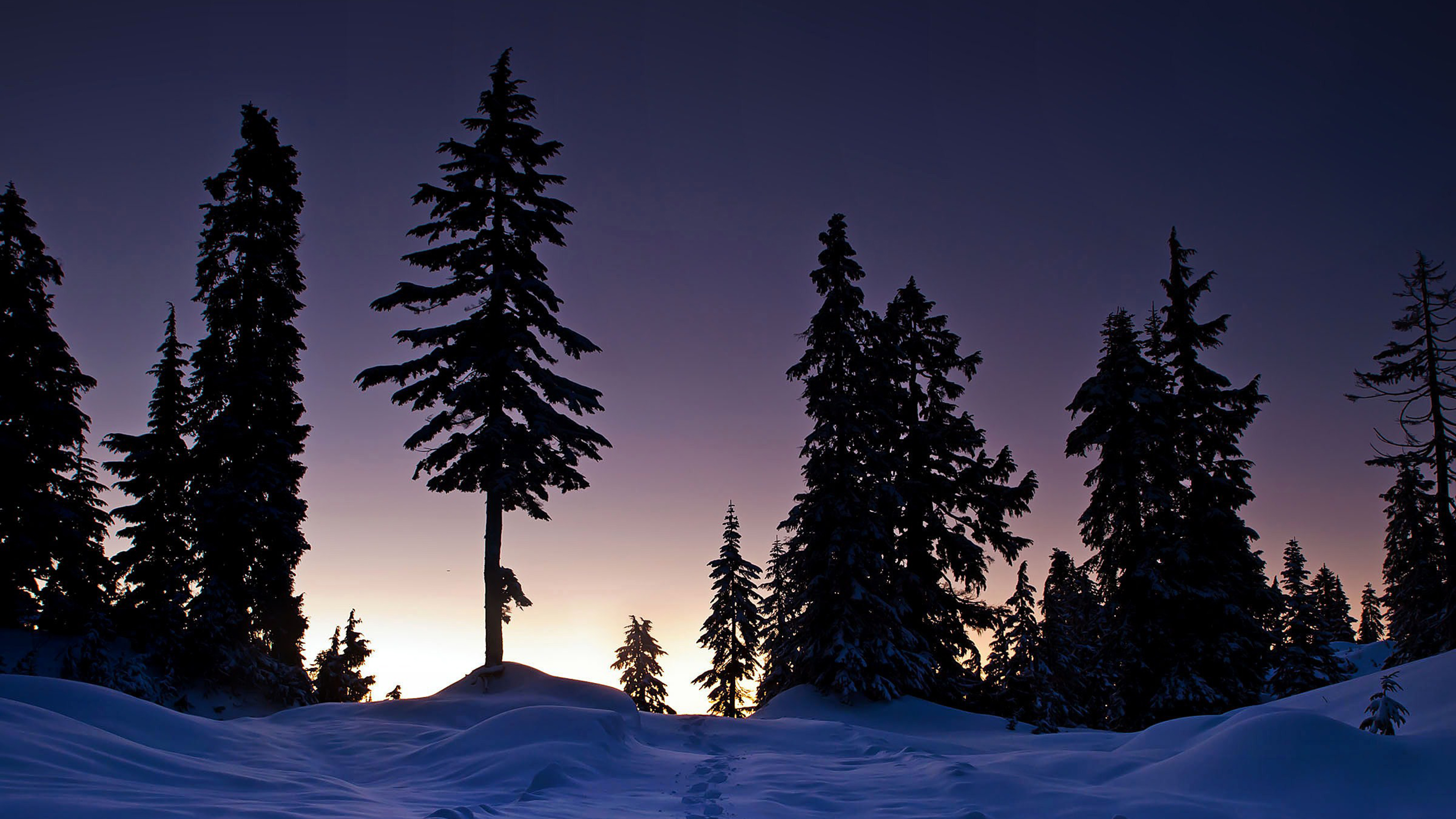 Зима Темно Фото