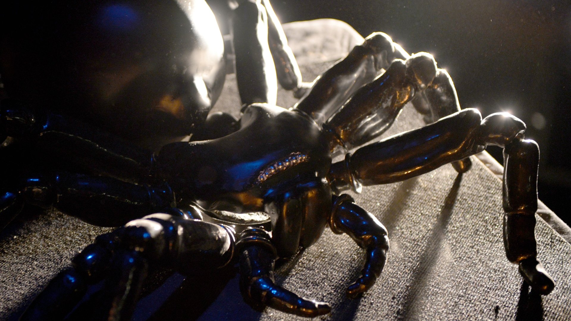 Download Movie Clash Of The Titans (2010) 4k Ultra HD Wallpaper