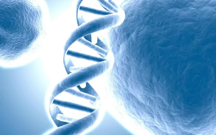 Artistic HD desktop wallpaper featuring a detailed, glowing DNA double helix structure surrounded by large cellular shapes in a blue-toned microscopic view.