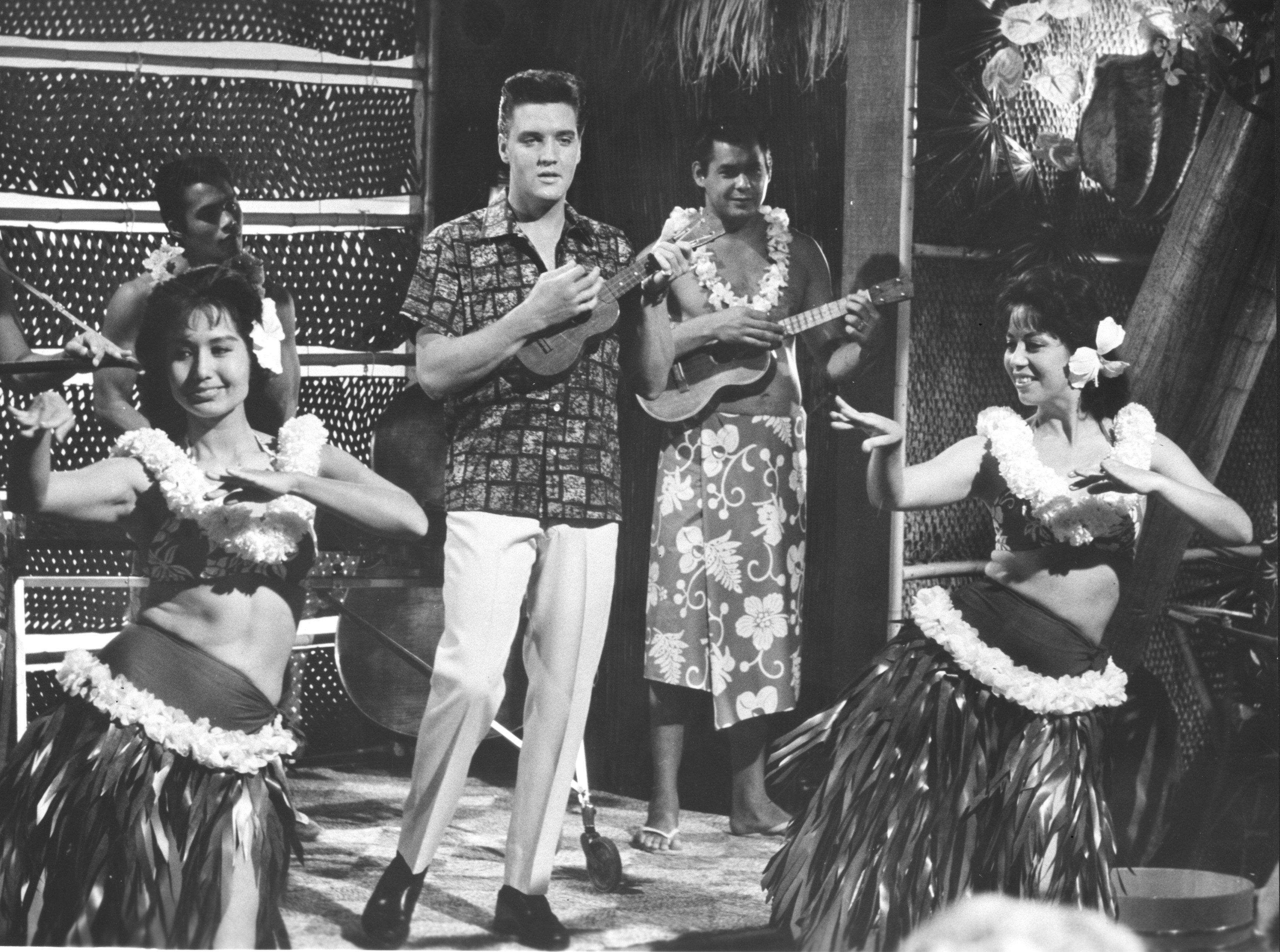 Download Movie Blue Hawaii HD Wallpaper