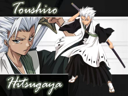  toushiro hitsugaya