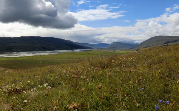 Icelandic nature landscape: sweeping grassy foreground with wildflowers, distant mountains and dramatic clouds — 5K Ultra HD PC desktop wallpaper and background.