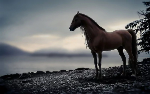 HD desktop wallpaper featuring a majestic horse standing by a misty lakeshore at dusk, with a serene, moody atmosphere.