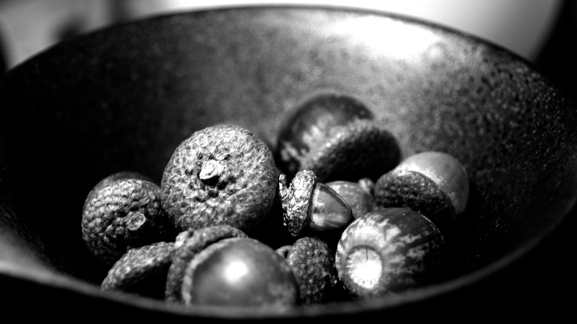 Download Nature Acorn HD Wallpaper