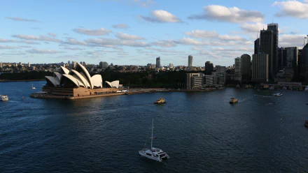 sydney harbour city Australia Sydney man made Sydney Opera House HD Desktop Wallpaper | Background Image