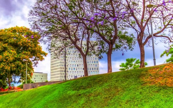 600+ Park HD Wallpapers | Background Images