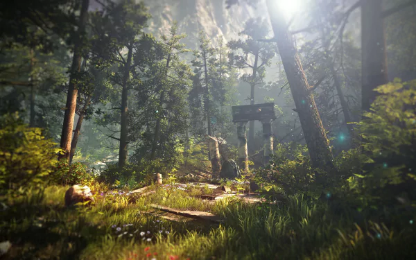 video game The Witcher 2: Assassins Of Kings HD Desktop Wallpaper | Background Image