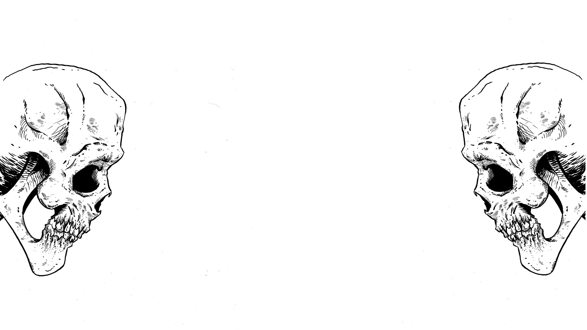 Download Dark Skull 8k Ultra HD Wallpaper