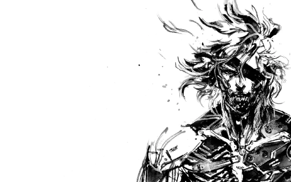 Raiden (Metal Gear) video game Metal Gear Rising: Revengeance HD Desktop Wallpaper | Background Image