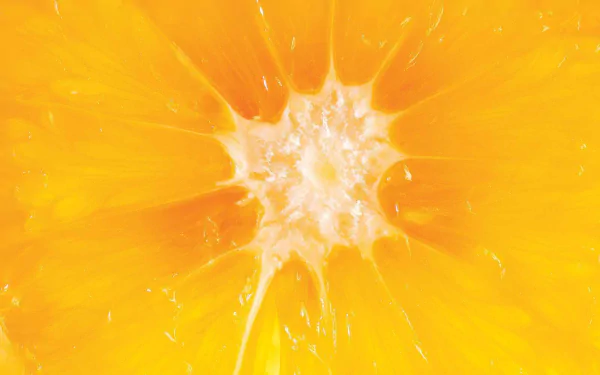 orange (Fruit) food orange (Color) HD Desktop Wallpaper | Background Image