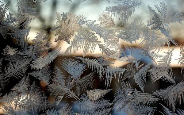  Frosted glass