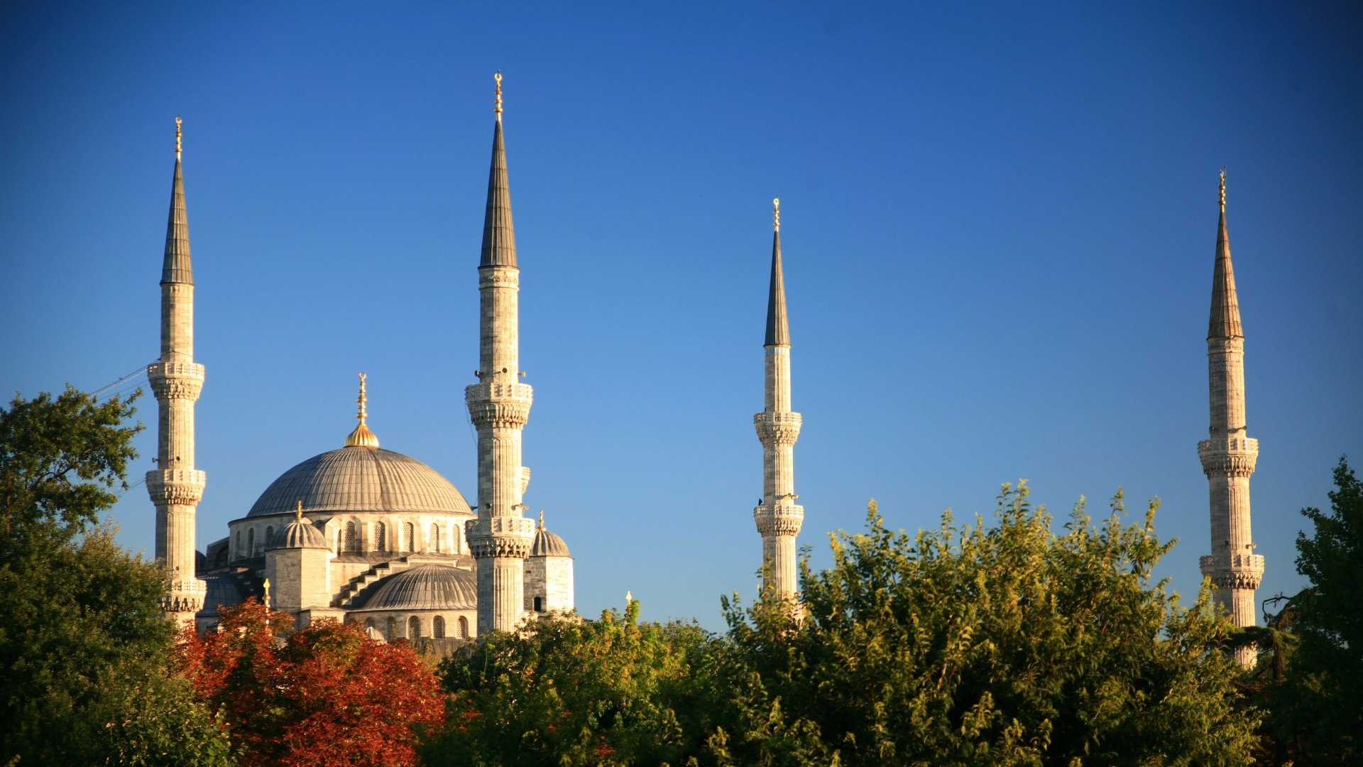 4K Ultra HD image of the Sultan Ahmed Mosque, a historic religious building with prominent domes and minarets rising above lush green trees against a clear blue sky.
