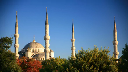 4K Ultra HD image of the Sultan Ahmed Mosque, a historic religious building with prominent domes and minarets rising above lush green trees against a clear blue sky.