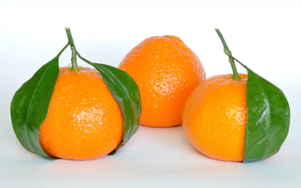 orange (Fruit) food orange (Color) HD Desktop Wallpaper | Background Image