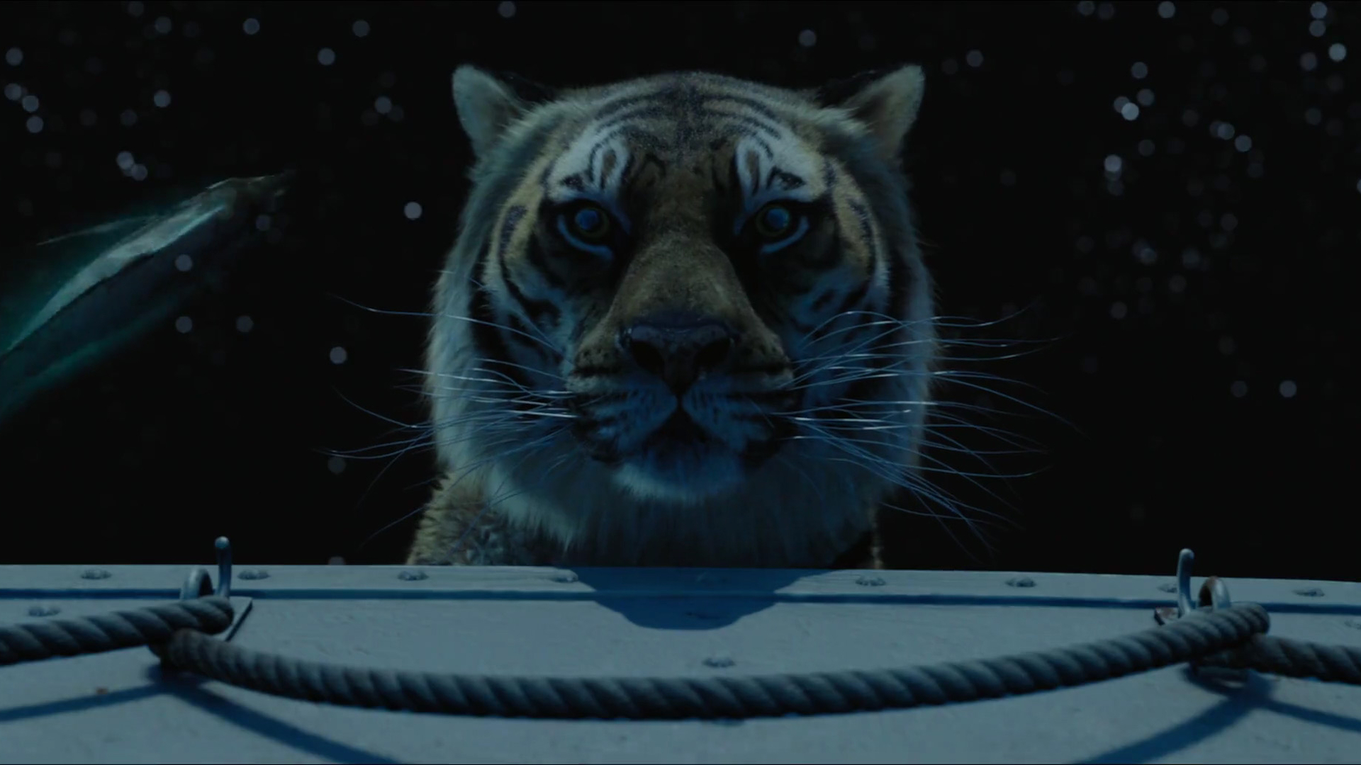 life of pi full movie free hd