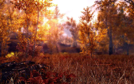 A serene autumn landscape from The Elder Scrolls V: Skyrim, featuring golden foliage, a sun-kissed meadow, and gently swaying trees, creating a tranquil gaming atmosphere.
