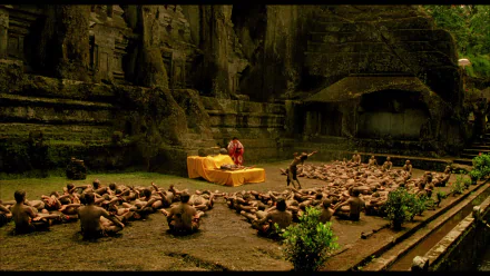 movie the fall HD Desktop Wallpaper | Background Image