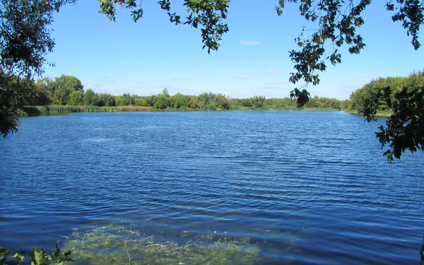4K Ultra HD nature wallpaper featuring a tranquil lake surrounded by green trees under a clear blue sky, creating a serene and refreshing outdoor scene.