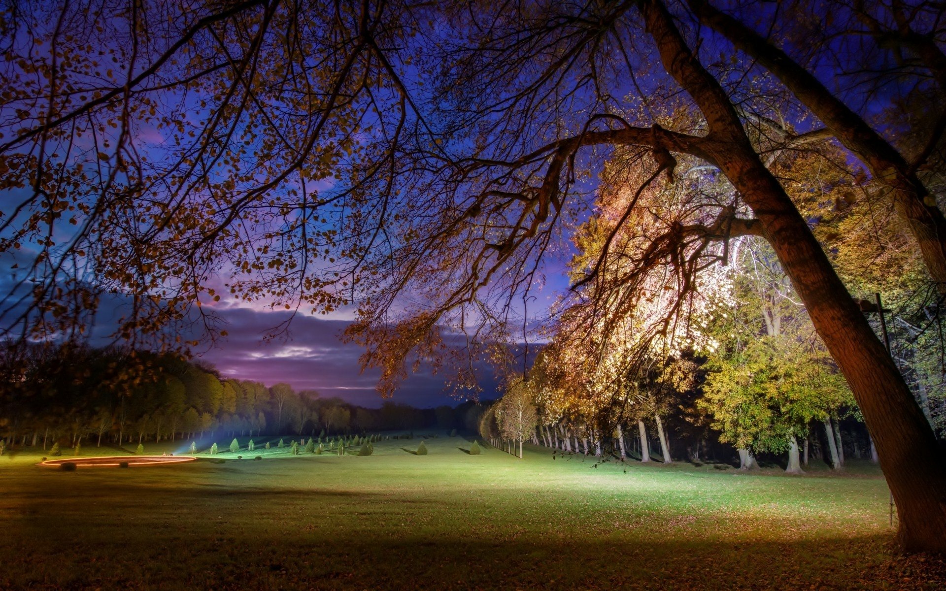 HD desktop wallpaper of a park at night with vibrant illuminated trees under a twilight sky.