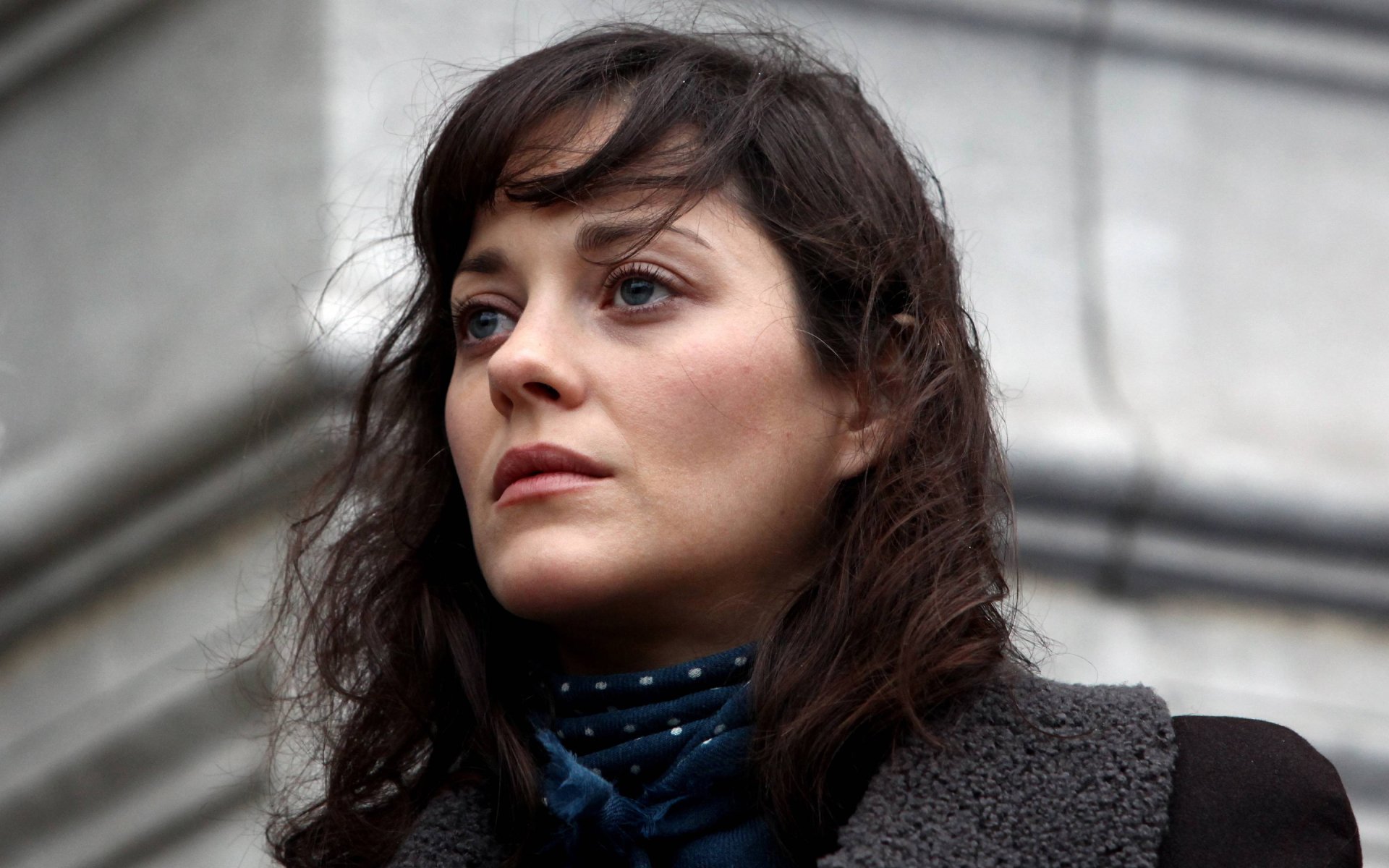 HD desktop wallpaper featuring French actress and celebrity Marion Cotillard with a contemplative expression against an urban stone background.