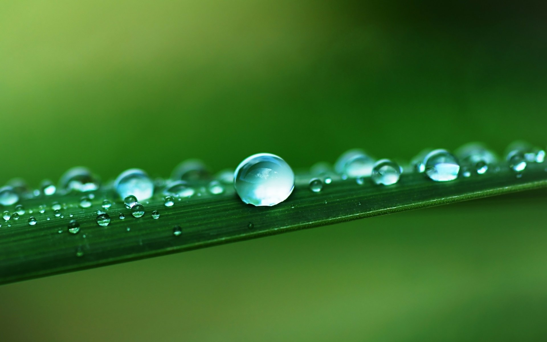 Water Drop HD Wallpaper