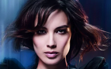 HD desktop wallpaper featuring French actress Bérénice Marlohe with a focused expression and softly tousled hair against a dark, moody background.