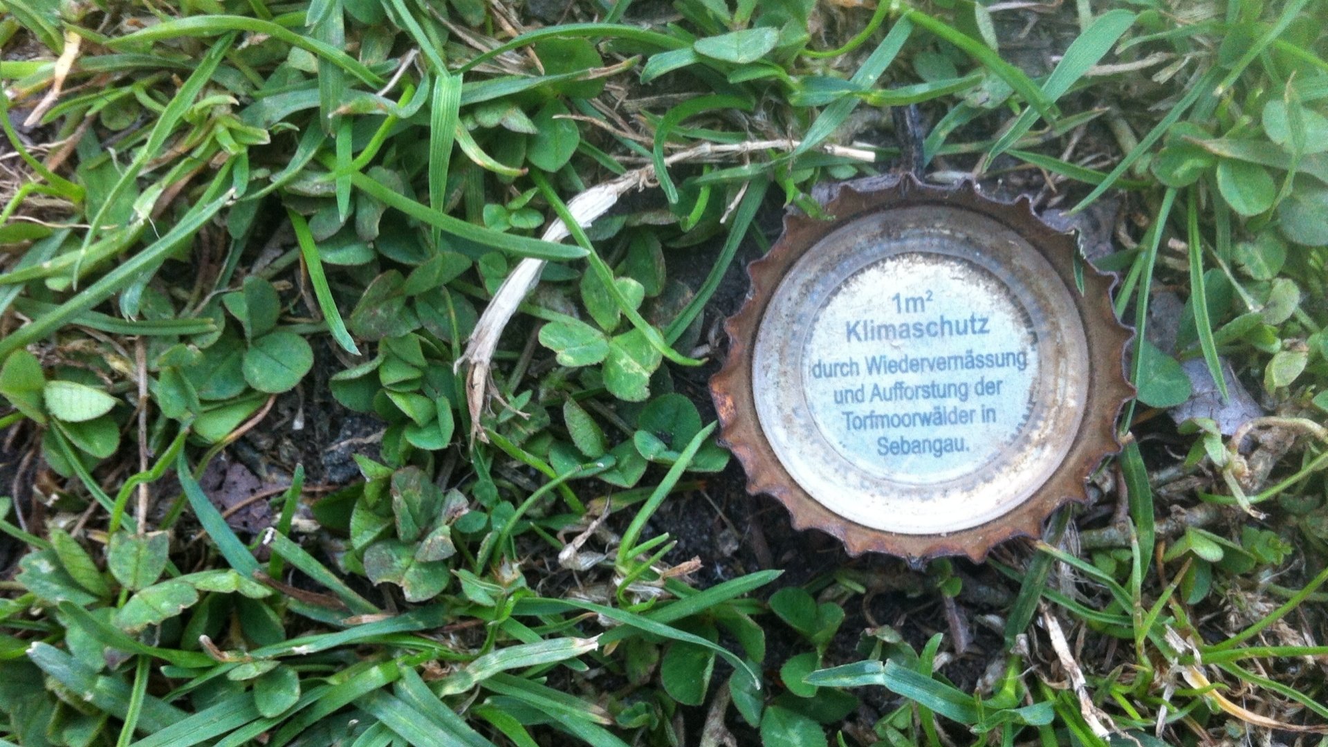 Download Misc Beer Bottle Caps HD Wallpaper