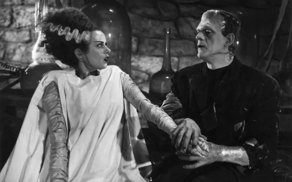 Bride of Frankenstein movie HD Desktop Wallpaper | Background Image