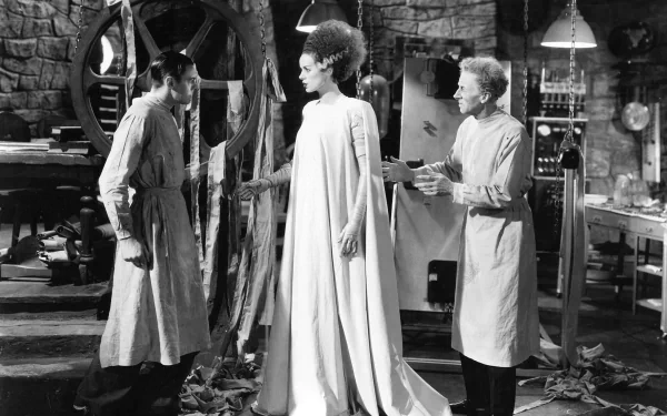 Bride of Frankenstein movie HD Desktop Wallpaper | Background Image