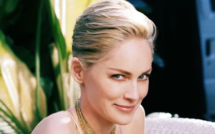 HD PC desktop wallpaper featuring American actress and celebrity Sharon Stone with a confident, poised expression and elegant styling.