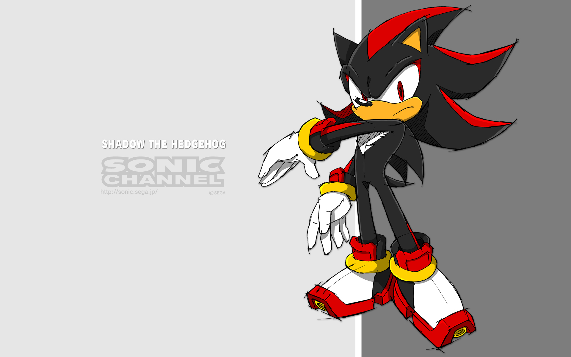 Shadow The Hedgehog/gallery - Shadow The Hedgehog Sonic X - Free