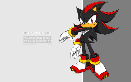 video game Shadow the Hedgehog HD Desktop Wallpaper | Background Image